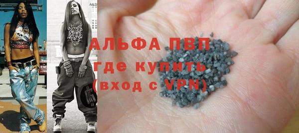 стафф Алексин