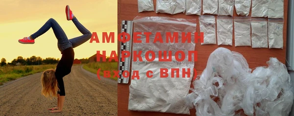 стафф Алексин