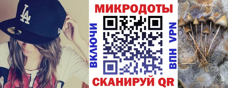 где продают   Кропоткин  MEGA вход  Галлюциногенные грибы Psilocybe 