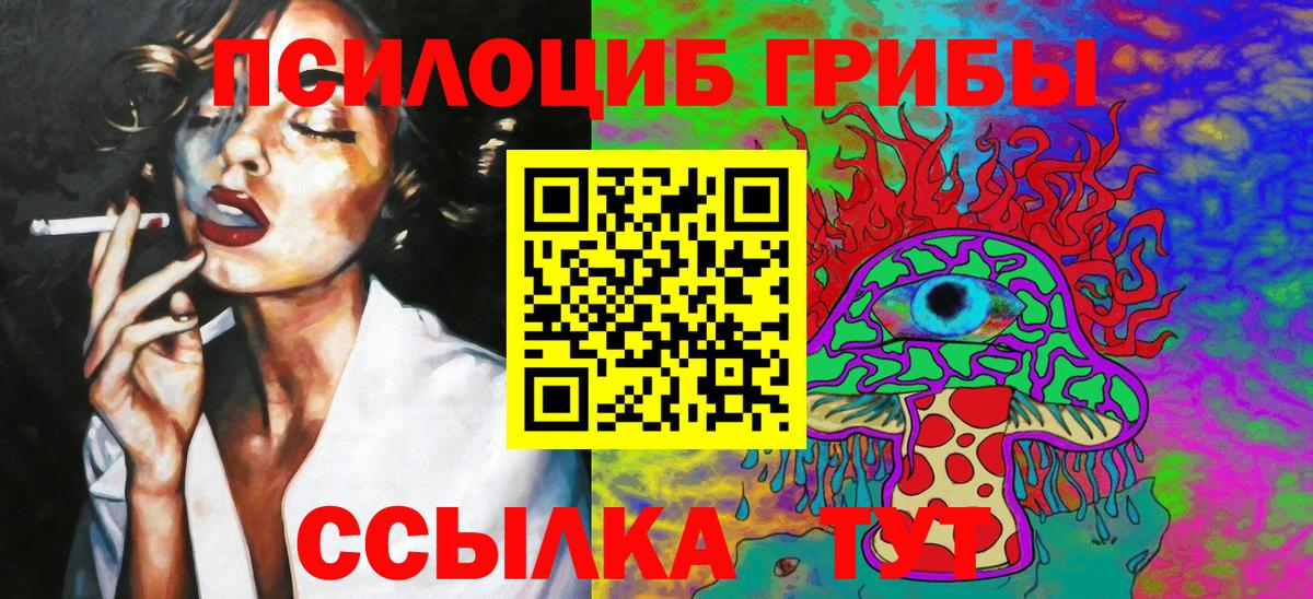 Галлюциногенные грибы GOLDEN TEACHER  Вход с VPN  Кропоткин  Псилоцибиновые грибы Psilocybe 